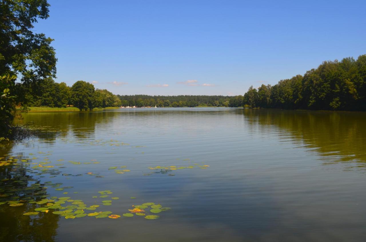 Gosciniec Pod Debem Villa Wilimy Buitenkant foto
