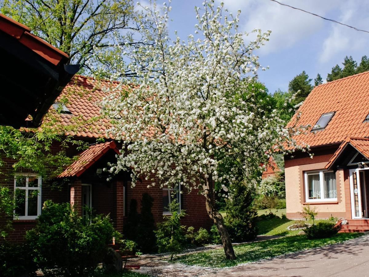 Gosciniec Pod Debem Villa Wilimy Buitenkant foto